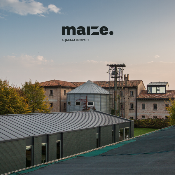 Maize